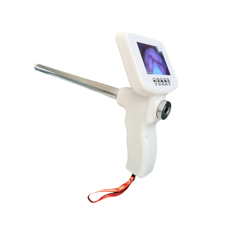 Donkey Horse Visual AI Insemination Gun